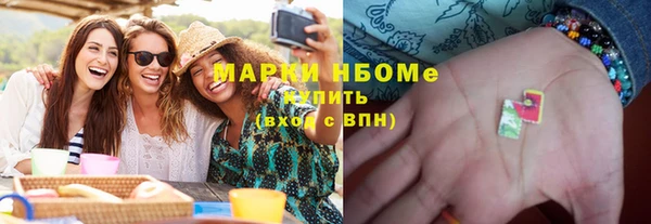 шишки Аркадак