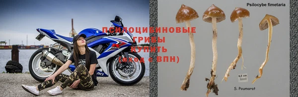 спиды Баксан
