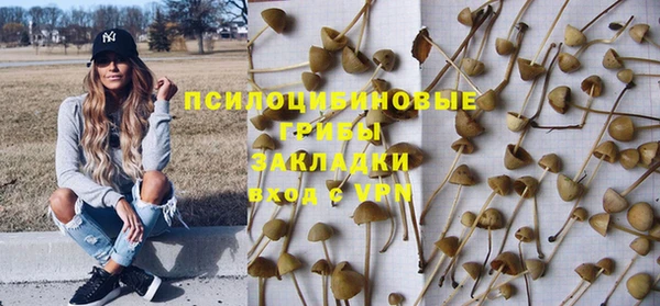 гидропоника Балабаново